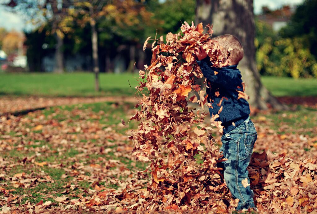 How to Enjoy life More